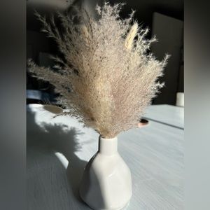 Pampas Natural Dry Grass